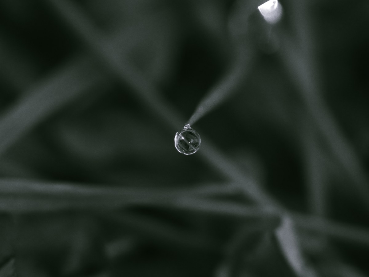 Hoy permítete sentir…