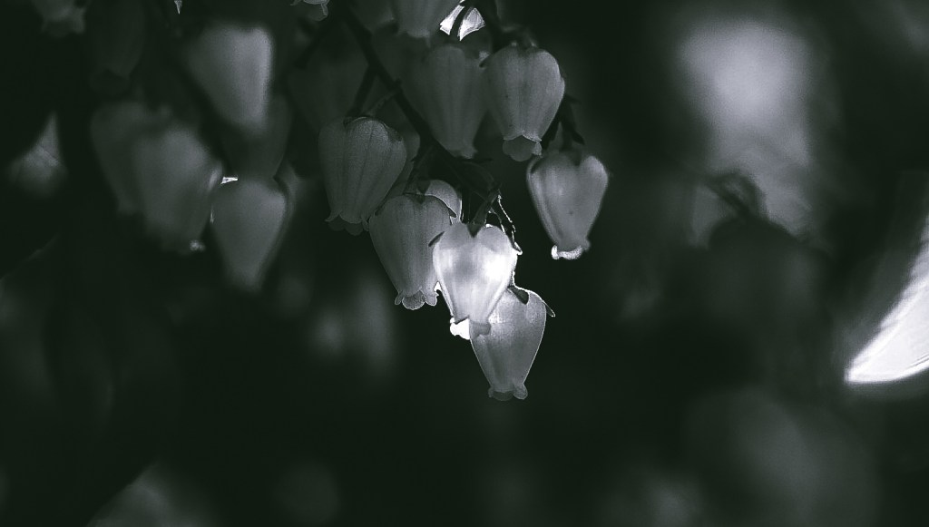 Retos del Educador: Siglo&nbsp;XXI