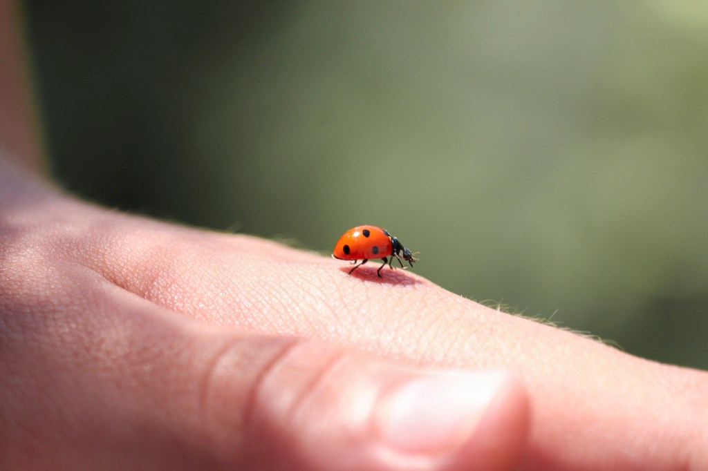 Rediseño de Mentalidad: Ser aprendices para toda la&nbsp;vida