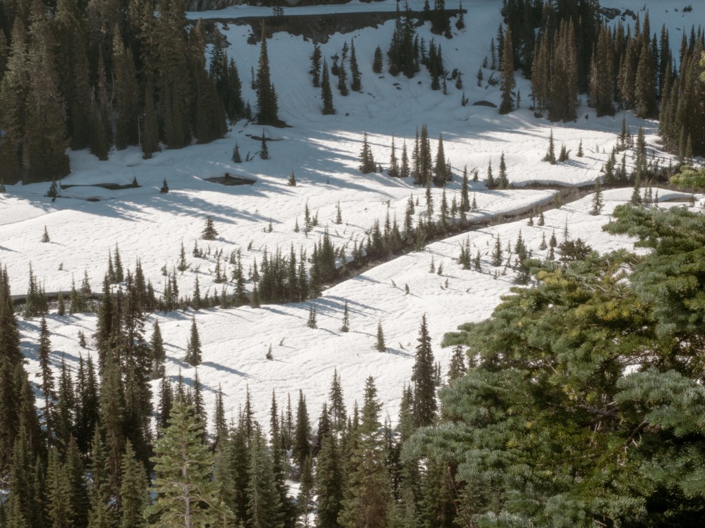 “Yo nunca había estado en un lugar&nbsp;así”