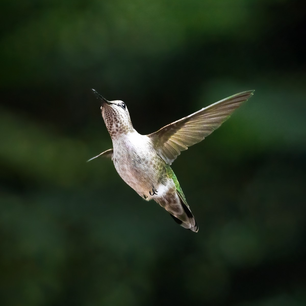 Entre cajas y milagros&nbsp;cotidianos